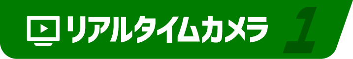 リアルタイム配信